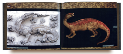 Untold  Secrets of Planet Earth: Dire Dragons