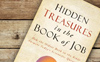 http://creation.com/review-hidden-treasures-job-hugh-ross