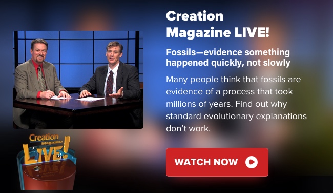 Creation Magazine Live!